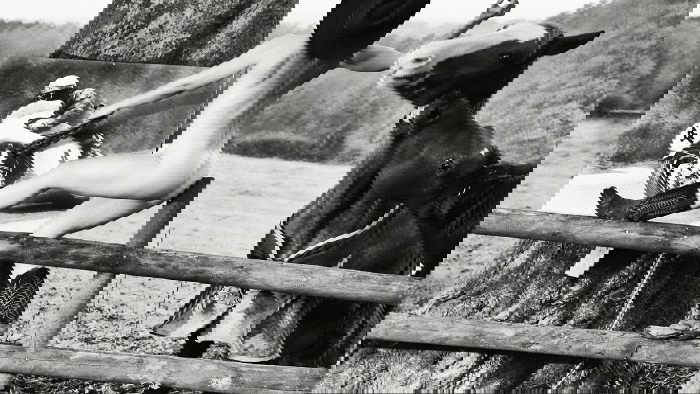 LR BOOK GREEBA BUCKING BRONCO.jpg